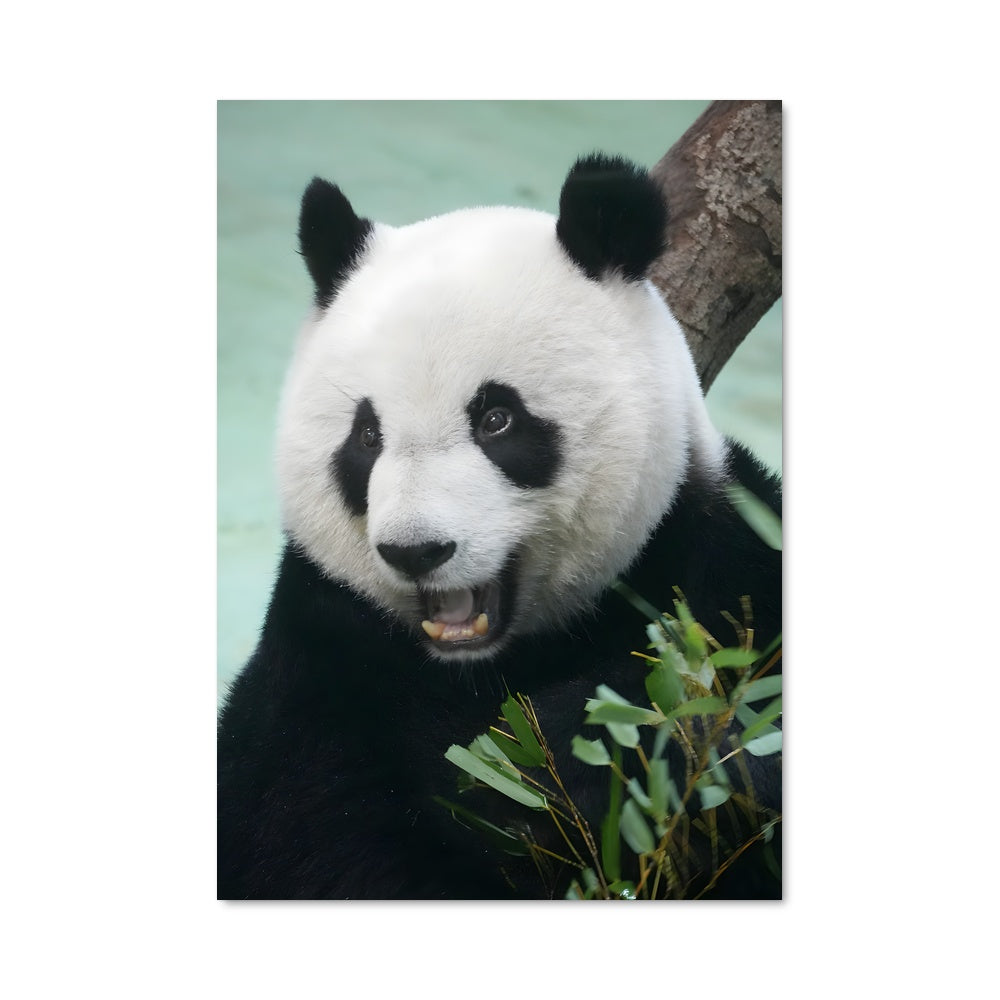 Poster Panda Gourmand