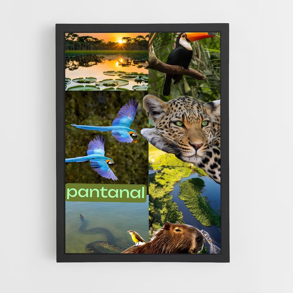 ap-pantanal-5 cadre Noir