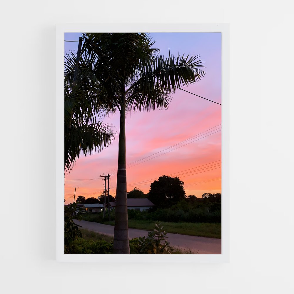 ap-paramaribo-2 cadre Blanc