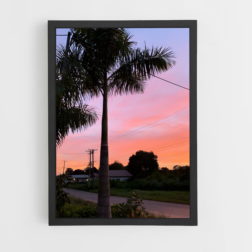 ap-paramaribo-2 cadre Noir