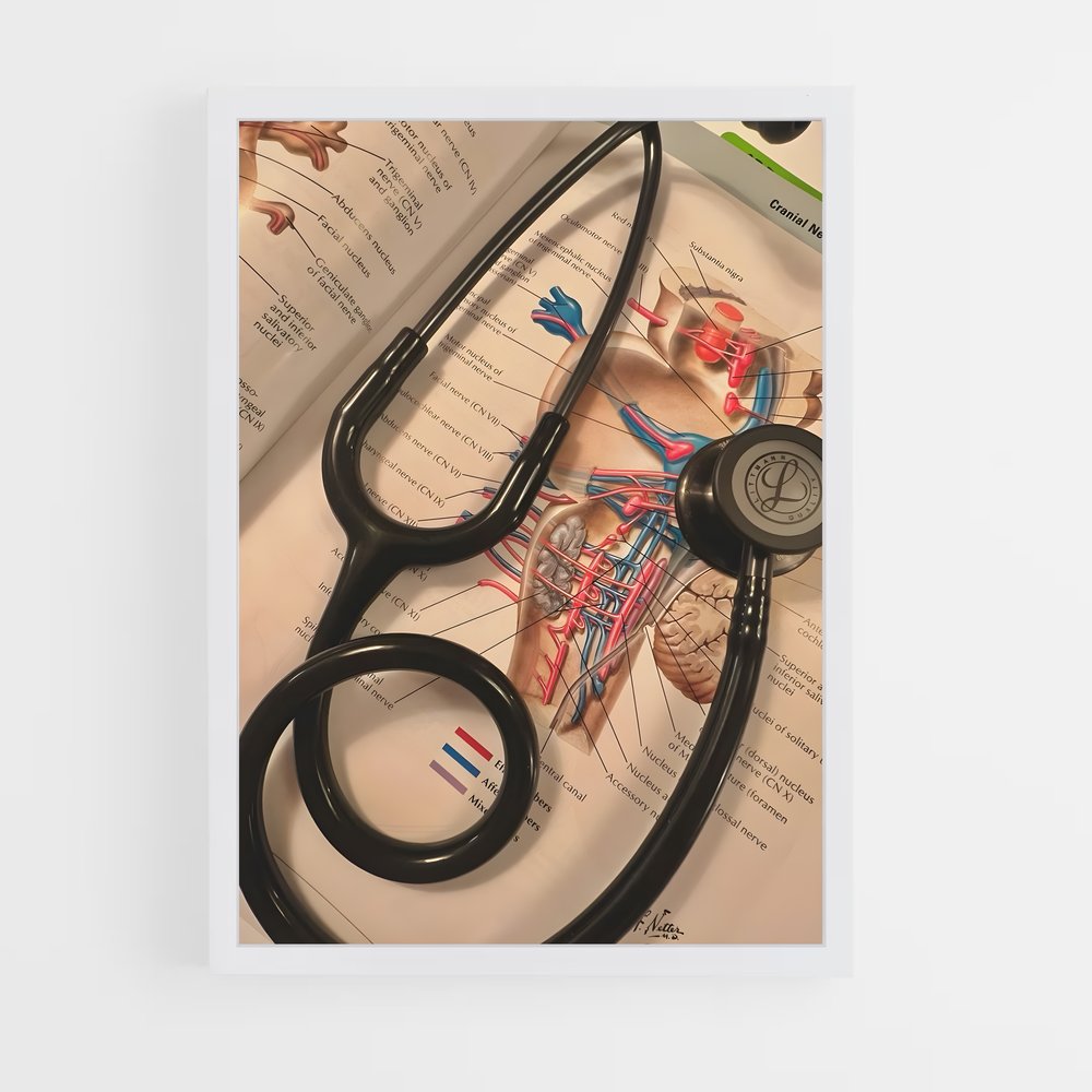 ap-paramedic-2 cadre Blanc