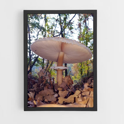 ap-parasol mushroom-4 cadre Noir