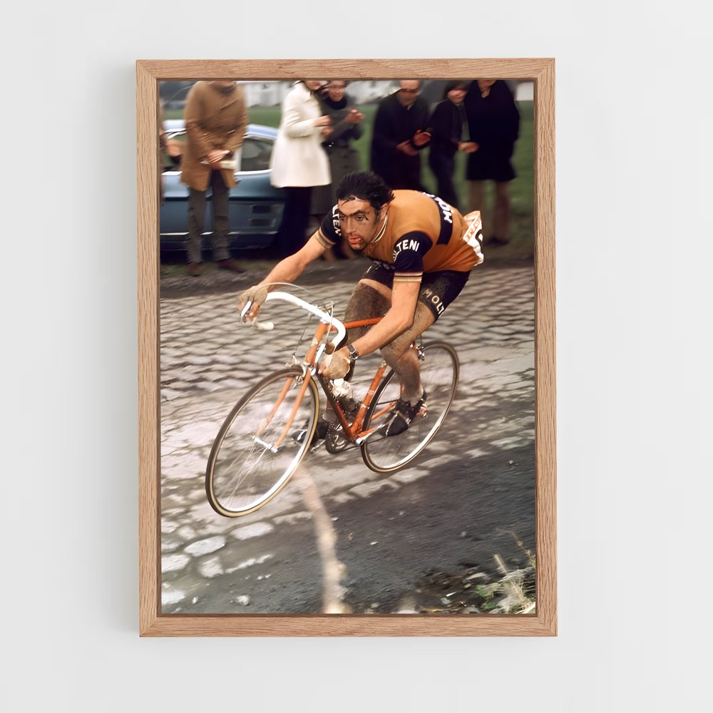 ap-paris-roubaix-2 cadre Bois clair