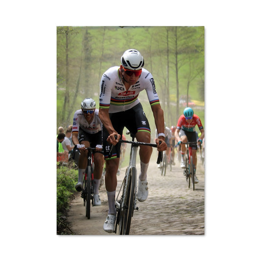 Poster Paris-roubaix 65366