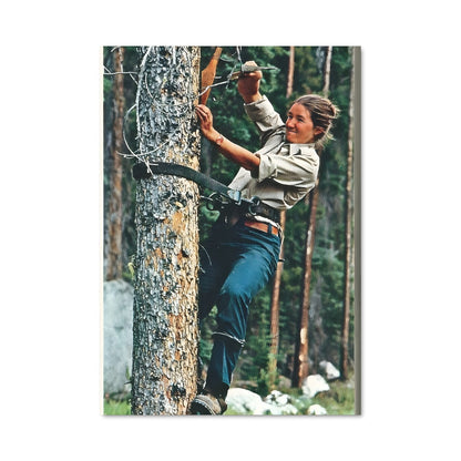 Poster L'Escalade Énergique
