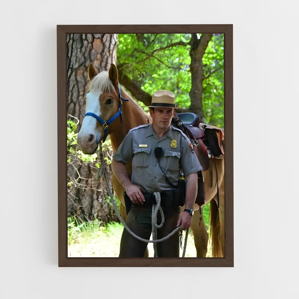 ap-park ranger-5 cadre Bois foncé