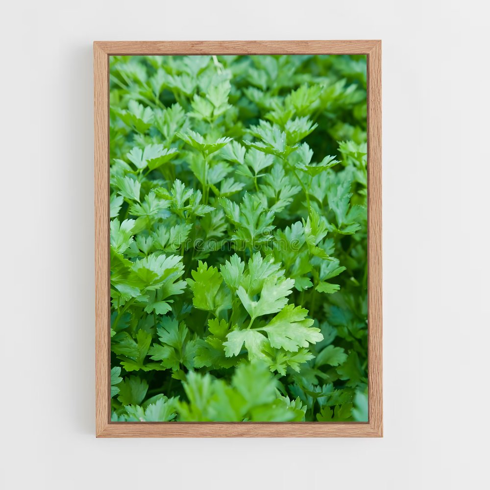 ap-parsley-4 cadre Bois clair