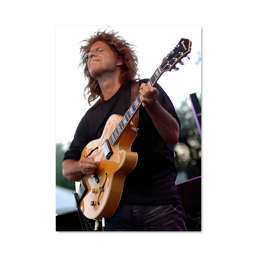 Poster Pat metheny 46820