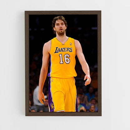 ap-pau gasol-3 cadre Bois foncé