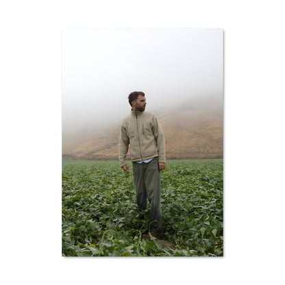Poster Le Champ de Haricots