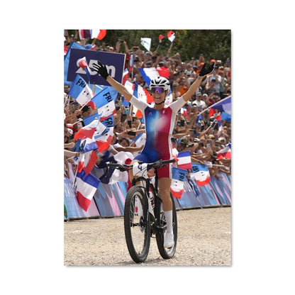 Poster Drapeaux en Fête