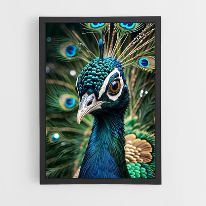 ap-peacock-10 cadre Noir