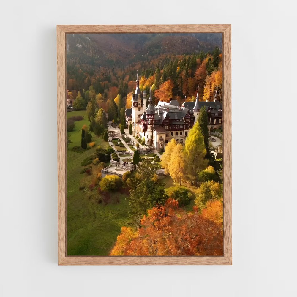 ap-peles castle-1 cadre Bois clair