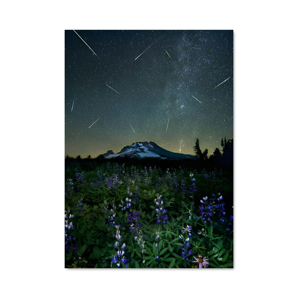 Poster Étoiles des Perseids