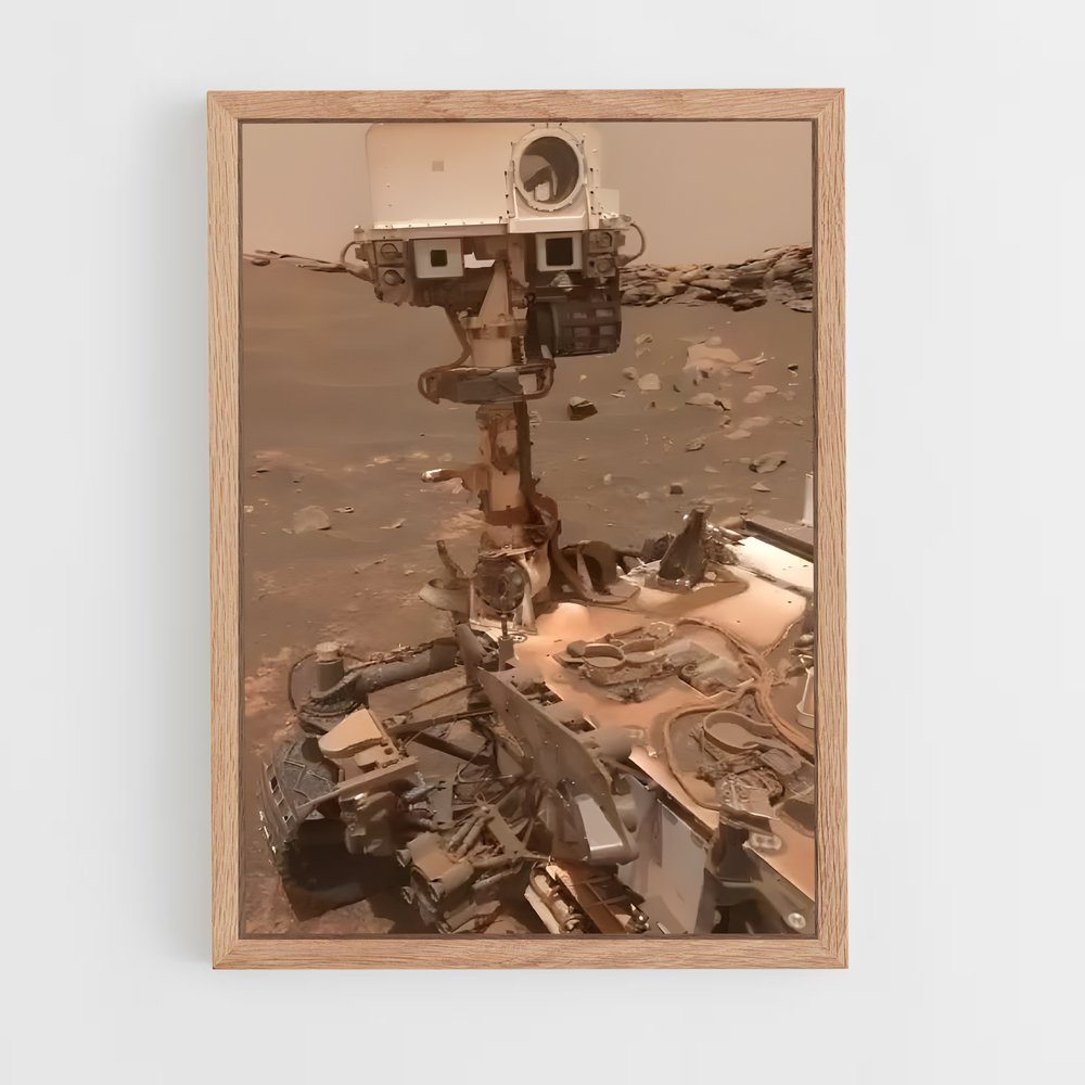 ap-perseverance rover-1 cadre Bois clair
