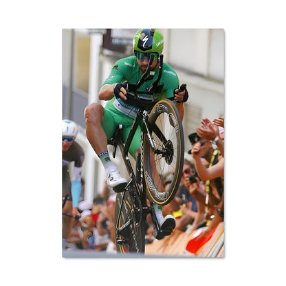 Poster Sagan en Vol