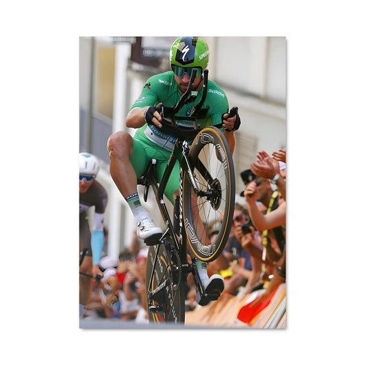 Poster Sagan en Vol