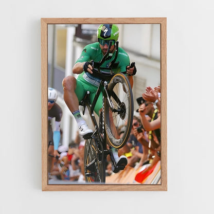 ap-peter sagan-2 cadre Bois clair