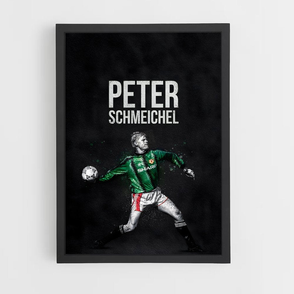 ap-peter schmeichel-4 cadre Noir