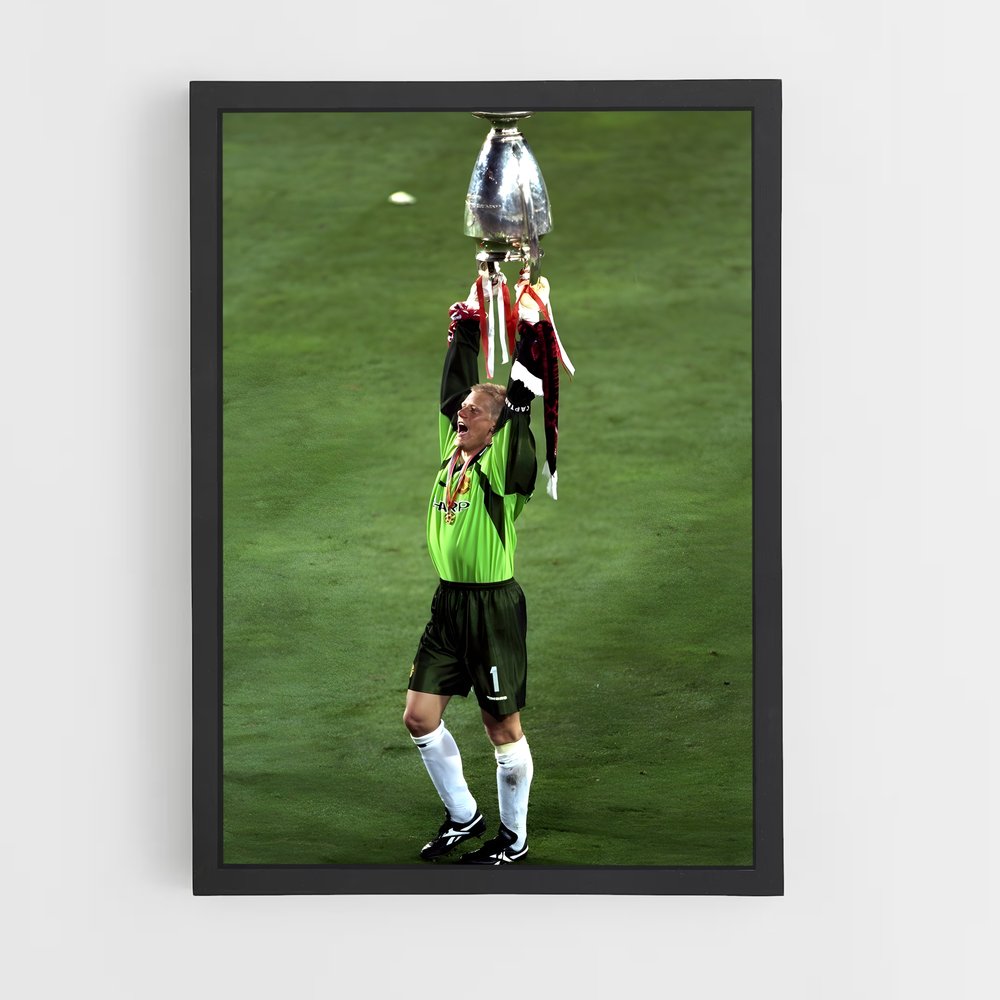 ap-peter schmeichel-6 cadre Noir