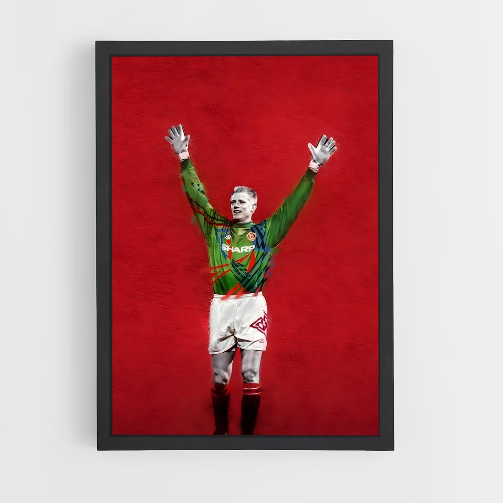 ap-peter schmeichel-8 cadre Noir