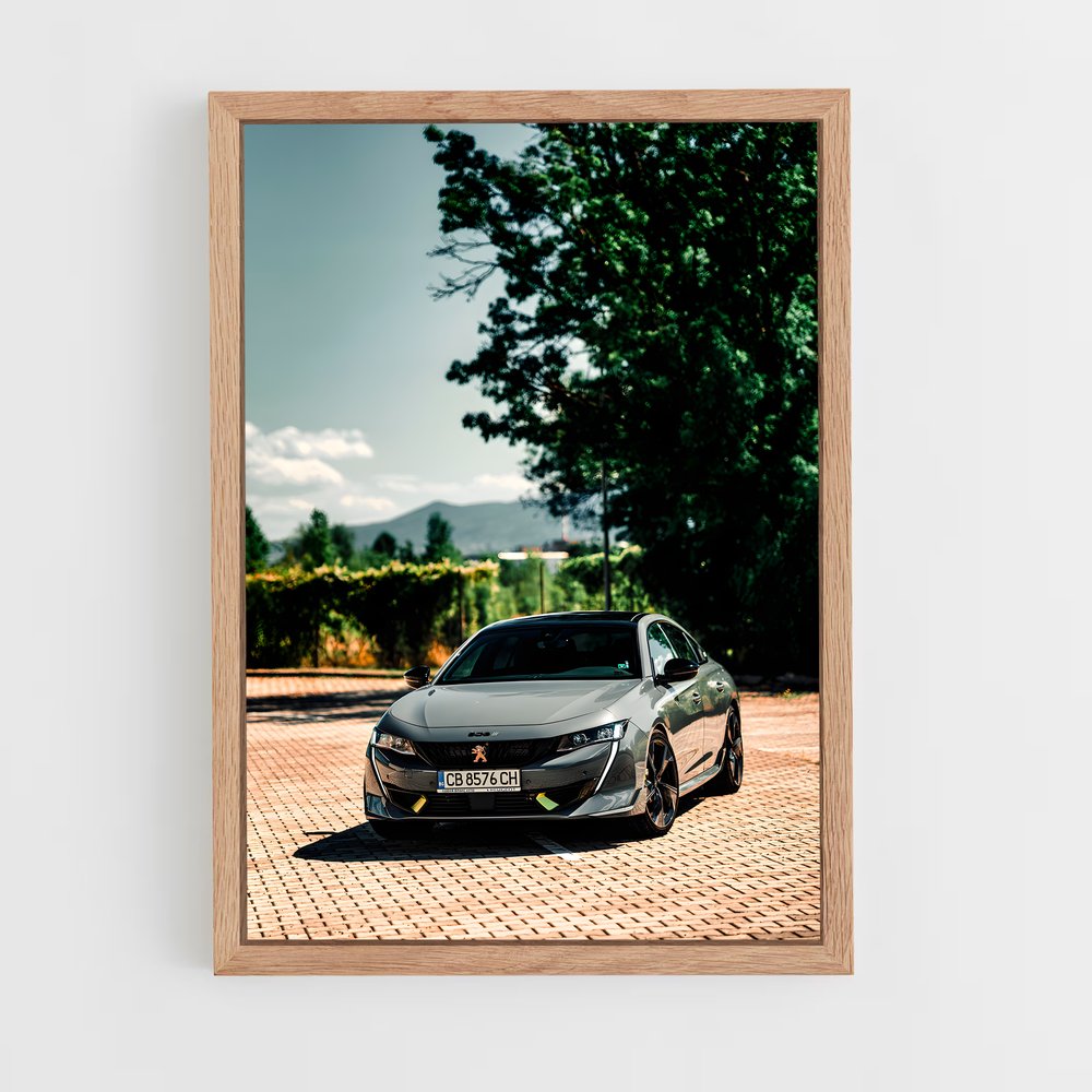 ap-peugeot-3 cadre Bois clair