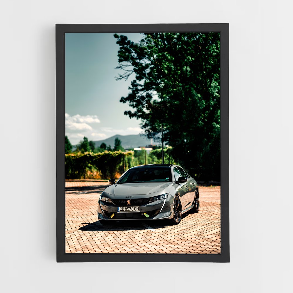 ap-peugeot-3 cadre Noir