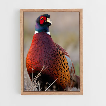 ap-pheasant-5 cadre Bois clair