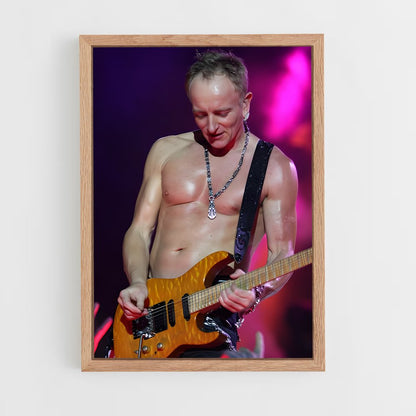 ap-phil collen-3 cadre Bois clair