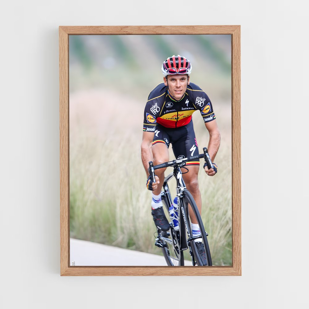ap-philippe gilbert-4 cadre Bois clair