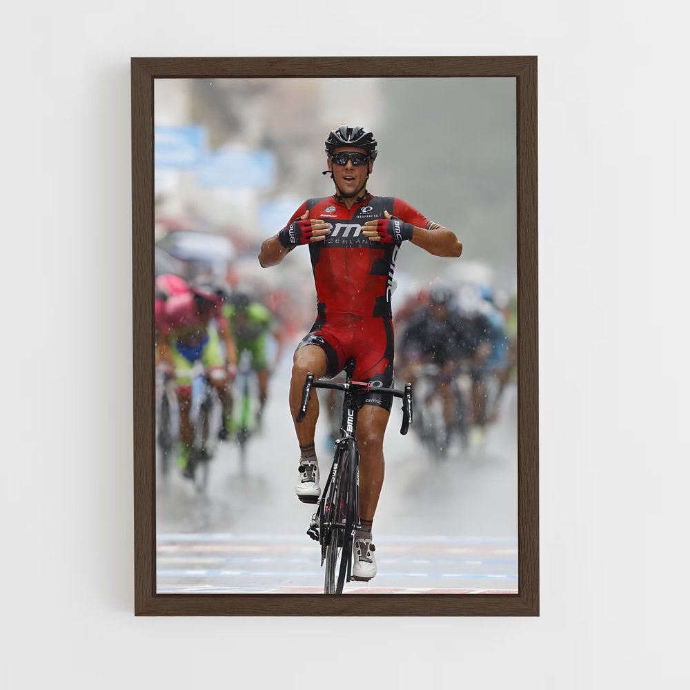 ap-philippe gilbert-6 cadre Bois foncé