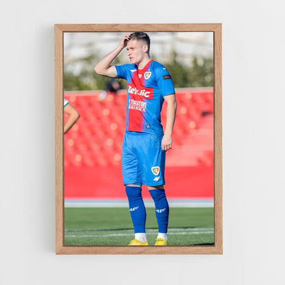 ap-piast gliwice-2 cadre Bois clair