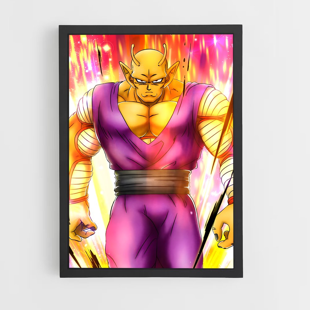 ap-piccolo-8 cadre Noir