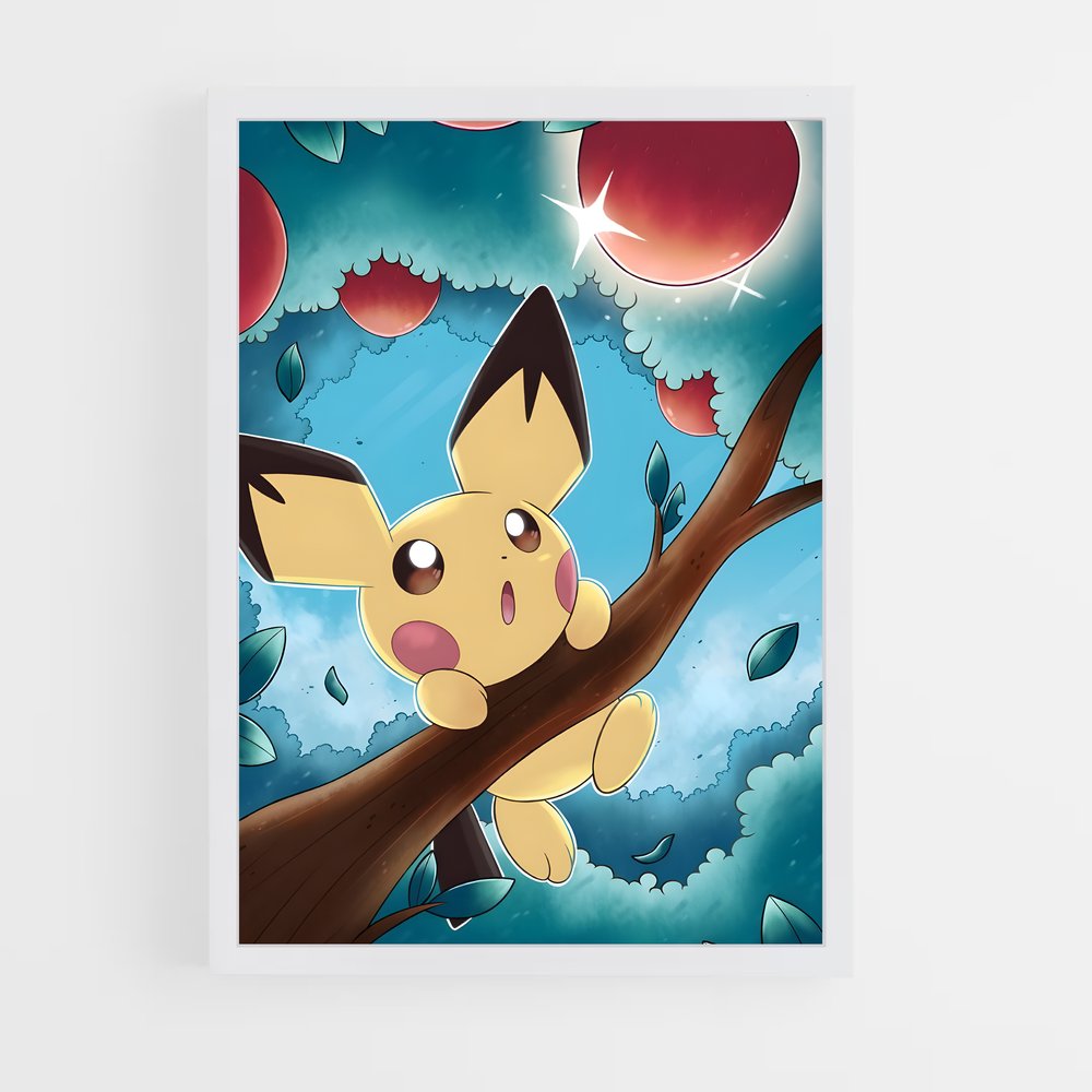 ap-pichu-1 cadre Blanc