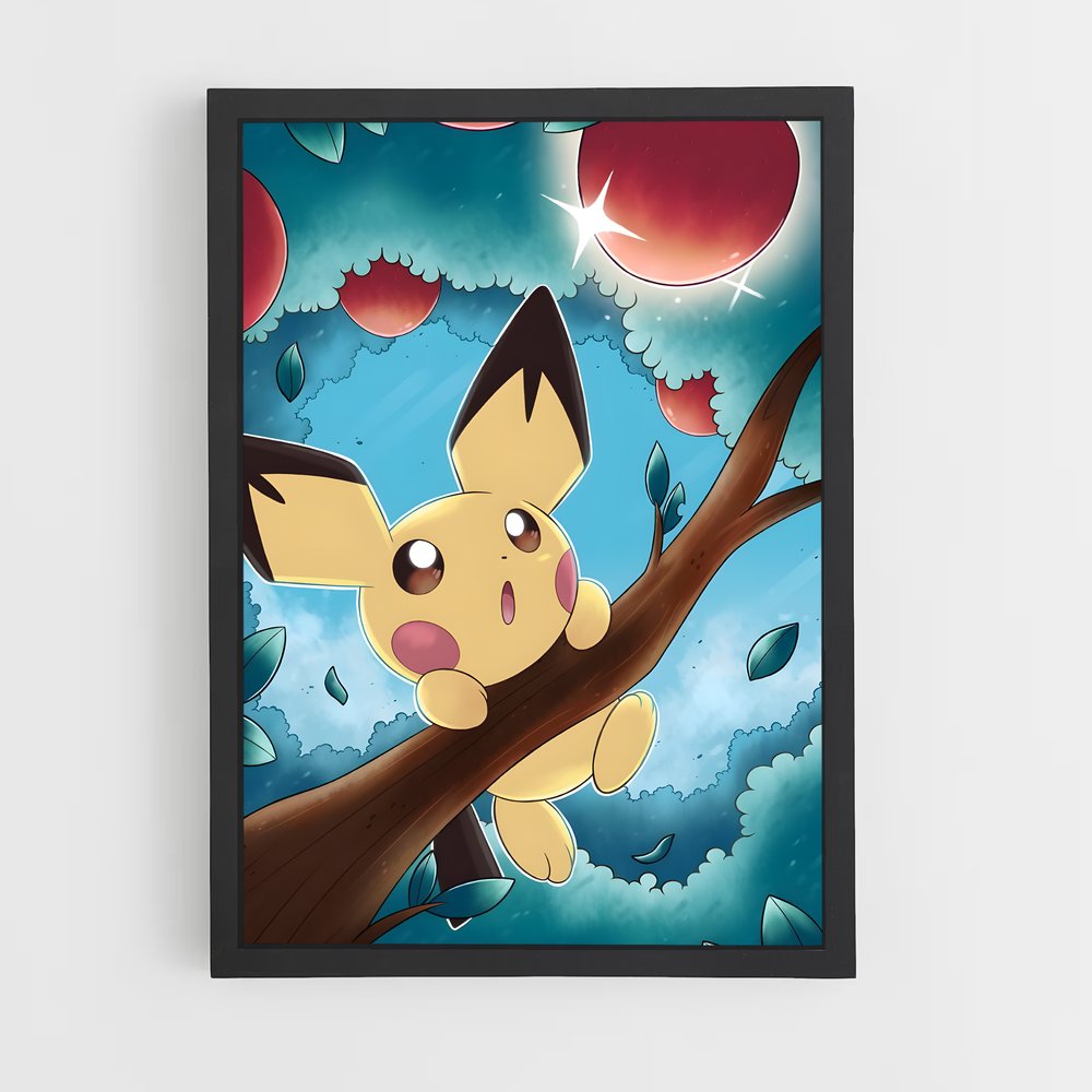 ap-pichu-1 cadre Noir