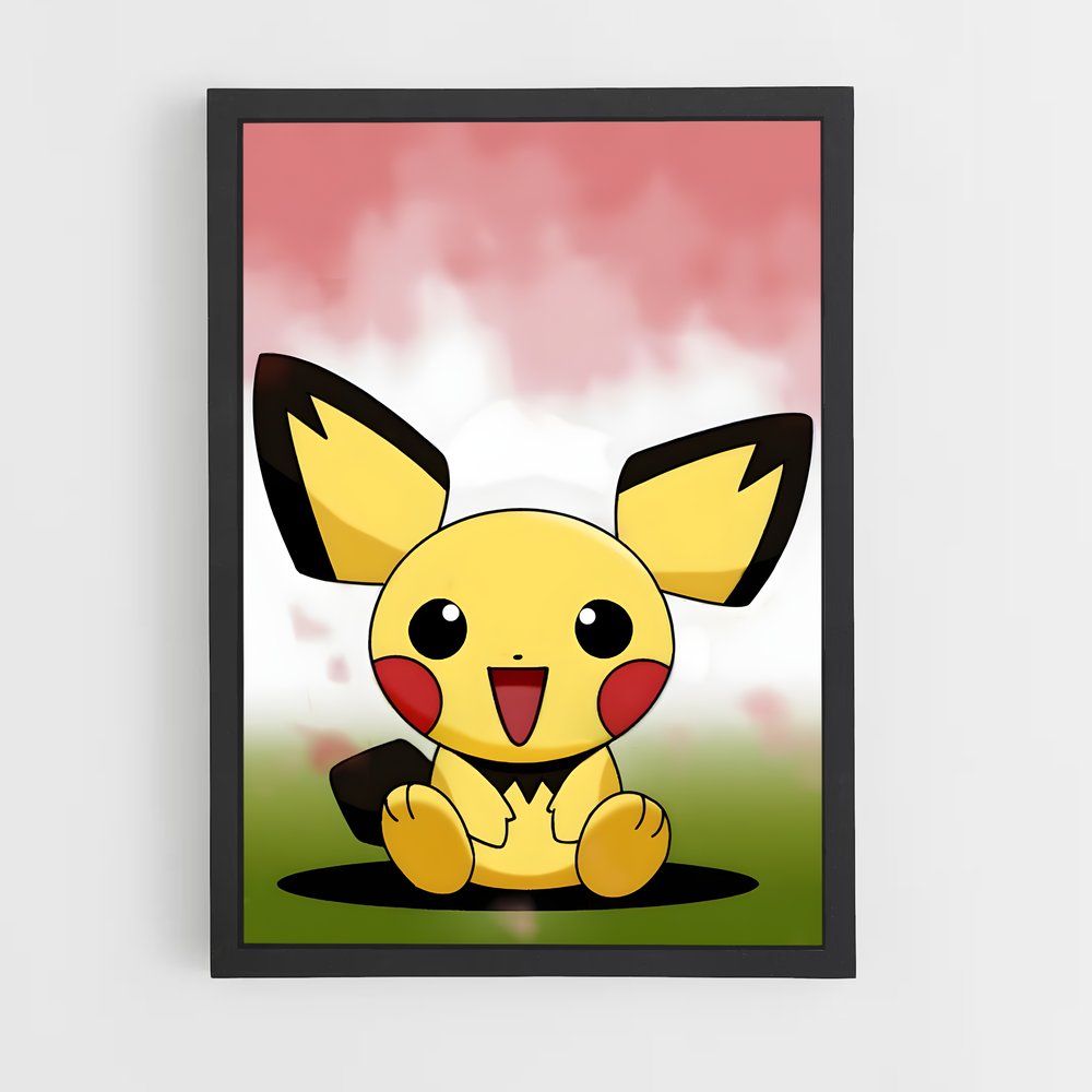 ap-pichu-4 cadre Noir
