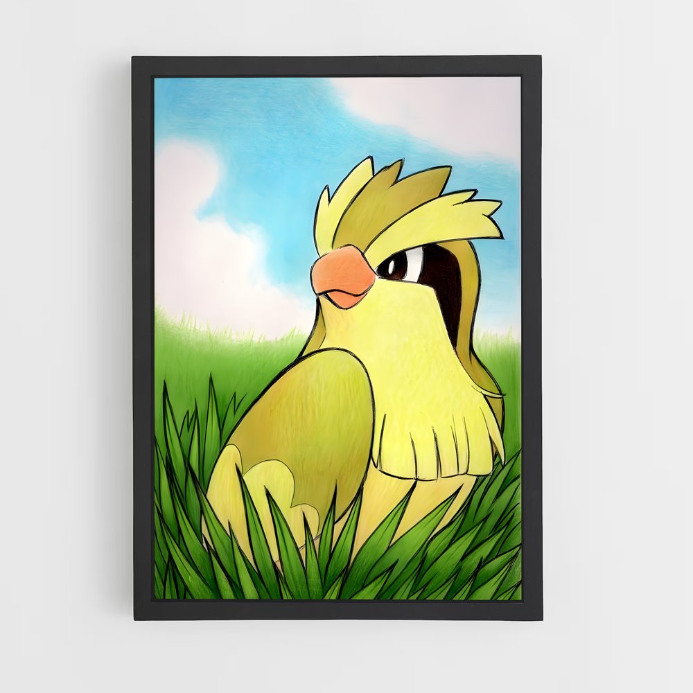 ap-pidgey-2 cadre Noir