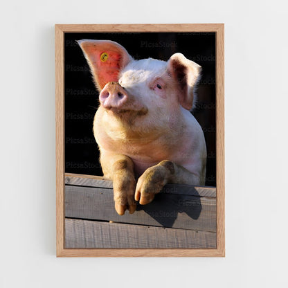 ap-pig-2 cadre Bois clair