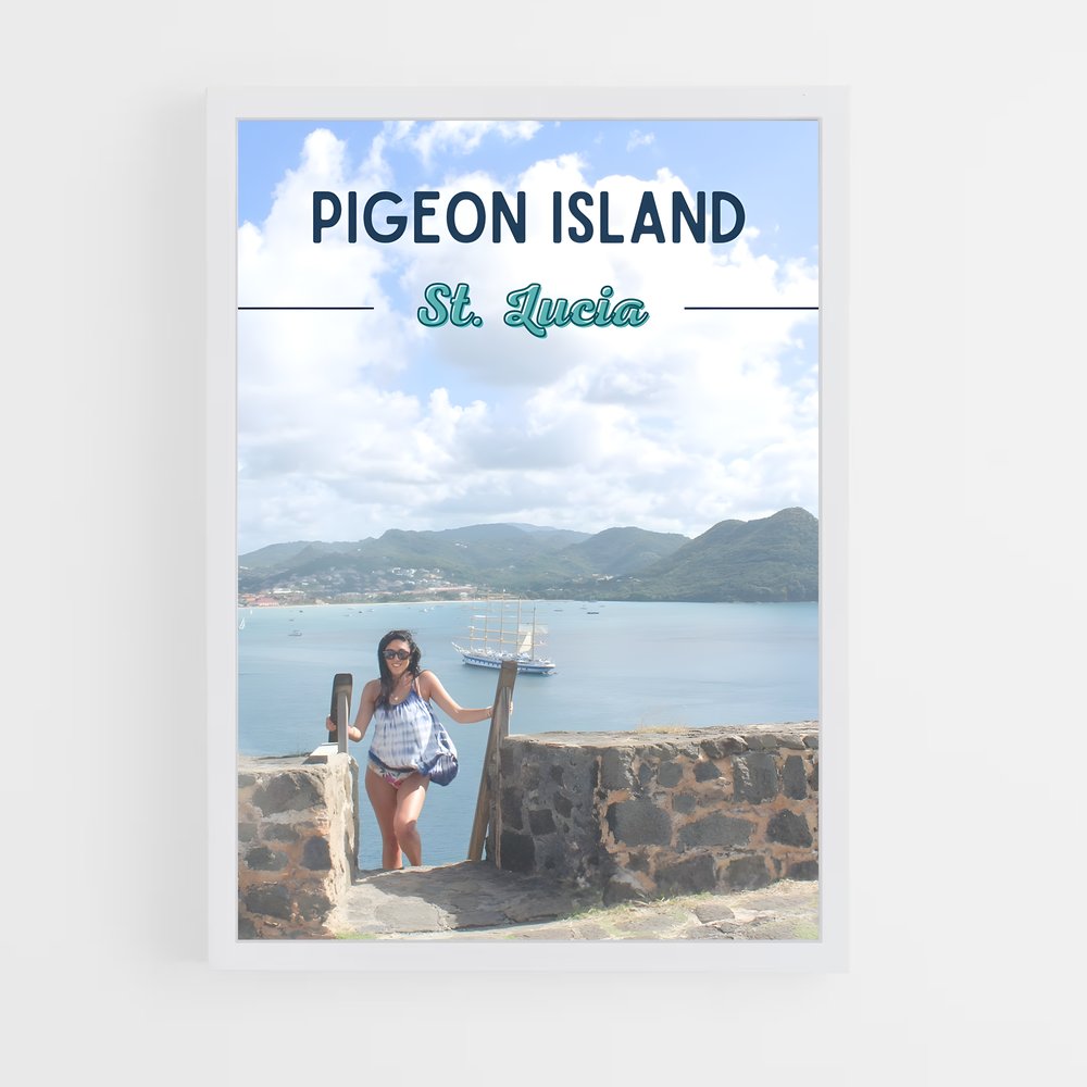 ap-pigeon island-3 cadre Blanc