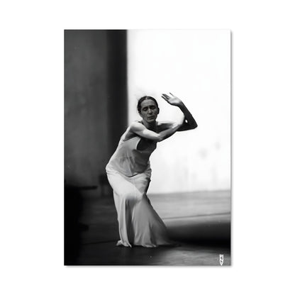 Poster Pina bausch 65845