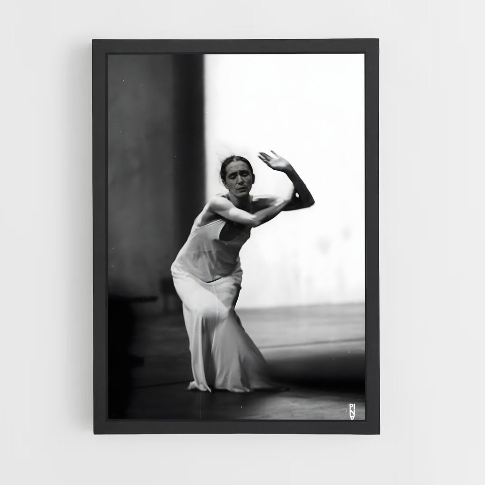 ap-pina bausch-7 cadre Noir