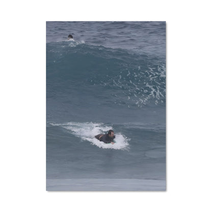 Poster Surfing the Pipeline