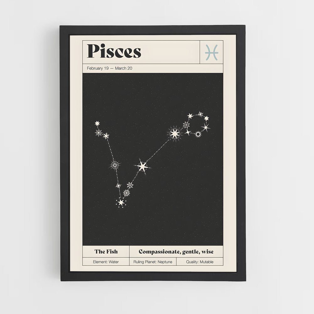 ap-pisces-1 cadre Noir