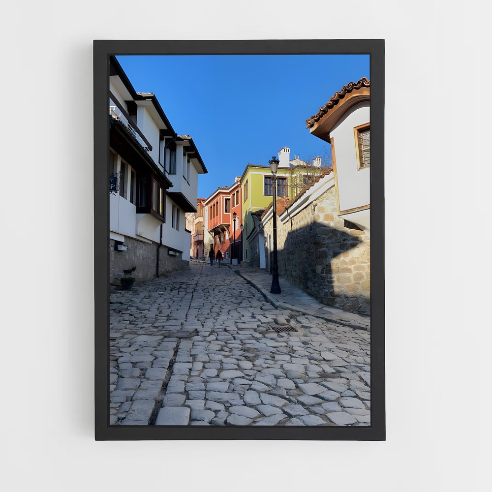 ap-plovdiv-5 cadre Noir
