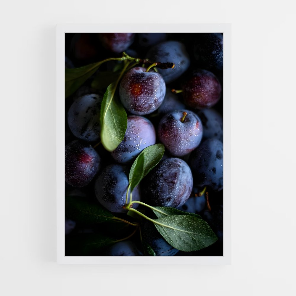 ap-plum-11 cadre Blanc