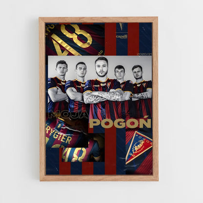 ap-pogon szczecin-4 cadre Bois clair