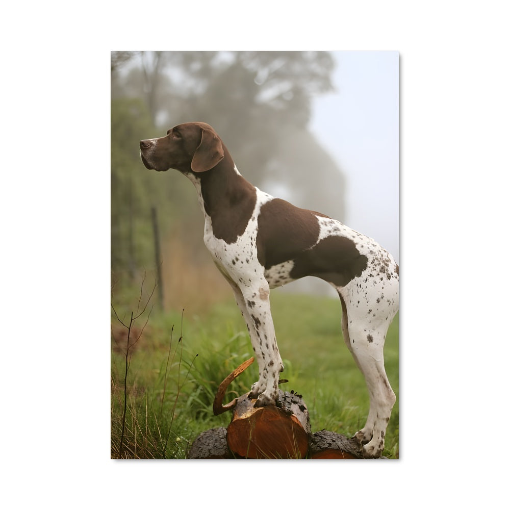 Poster Pointer 85023