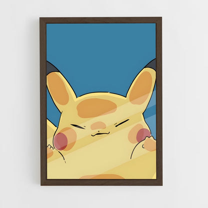 ap-pokemon-16 cadre Bois foncé