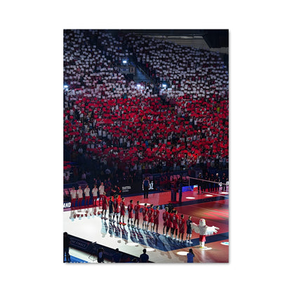 Poster La Fureur de la Foule