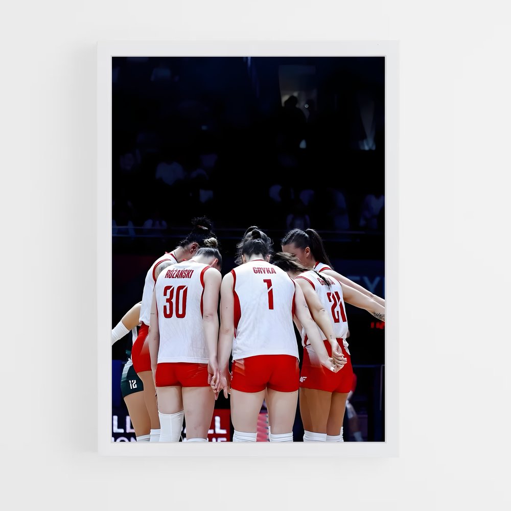 ap-poland national volleyball team-4 cadre Blanc